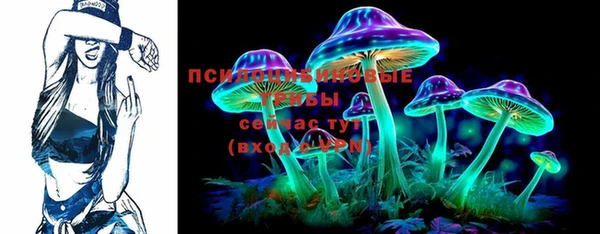apvp Новодвинск