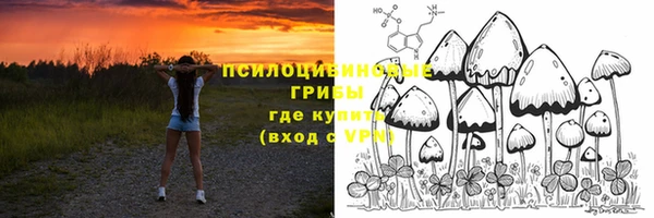 каннабис Алзамай