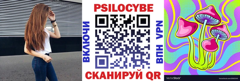 даркнет сайт  Новочеркасск  Псилоцибиновые грибы Cubensis 