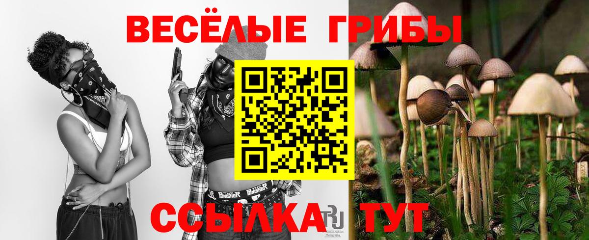 Галлюциногенные грибы Cubensis  Вход с VPN  купить  сайты  Новочеркасск 
