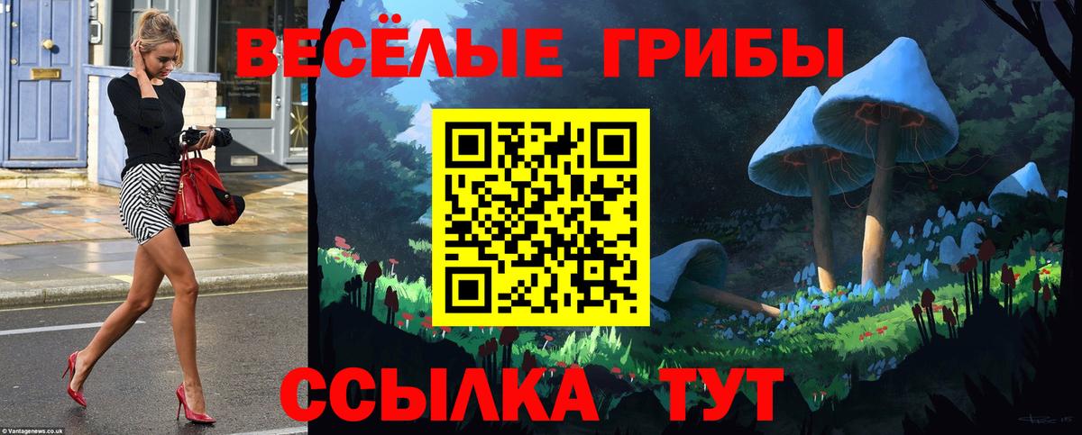 Псилоцибиновые грибы Cubensis Новочеркасск