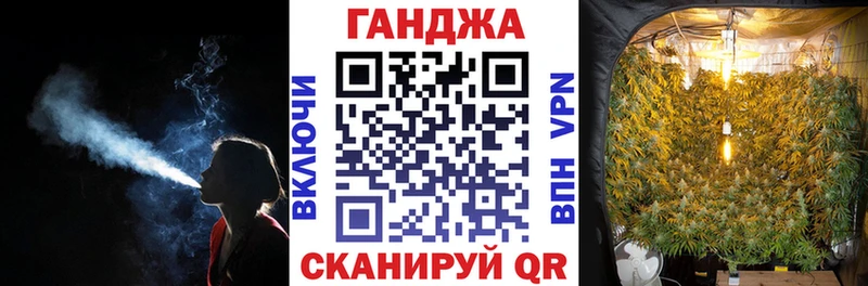 Марихуана сатива  как найти закладки  Новочеркасск 